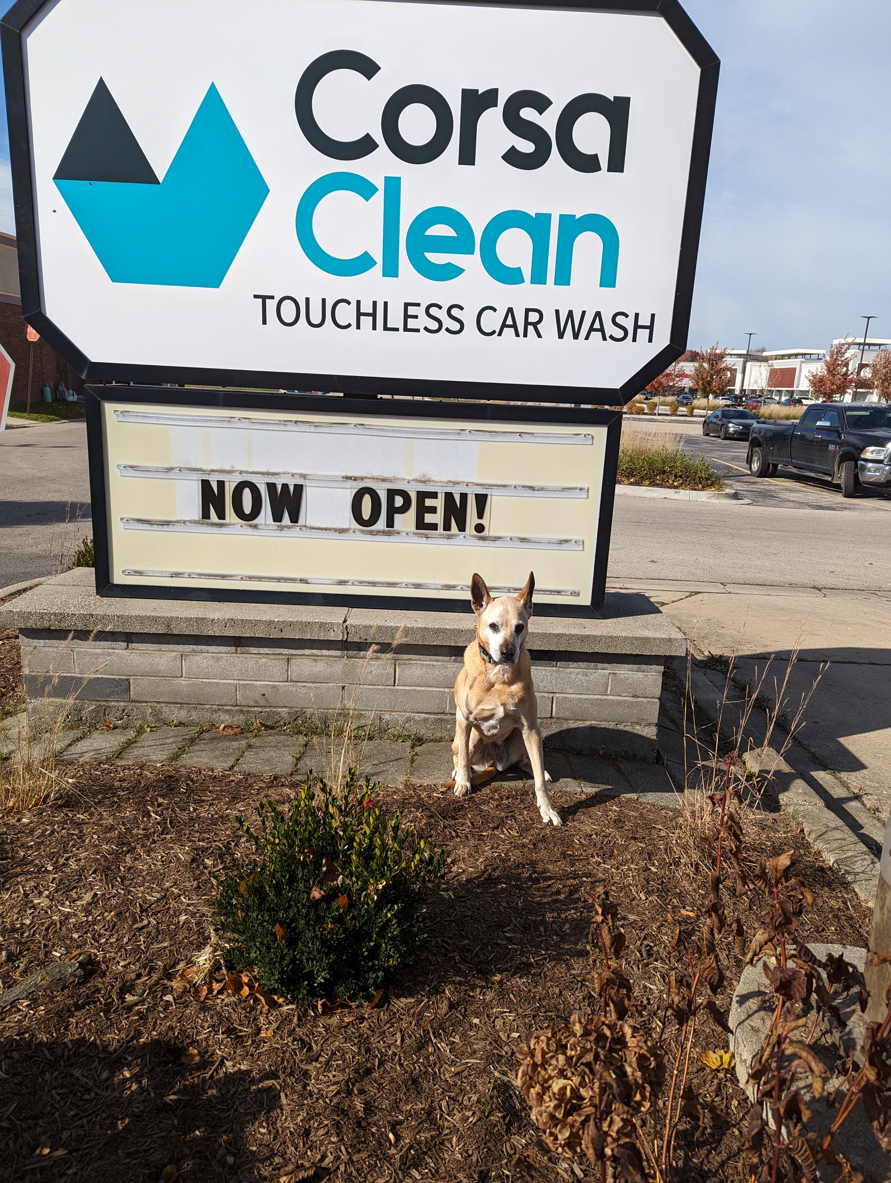 PXL_20231105_180523252.MP